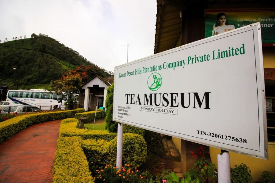 Munnar Private Day Trip - Tea and spice plantations: what you do (and why it beats a drive-by)