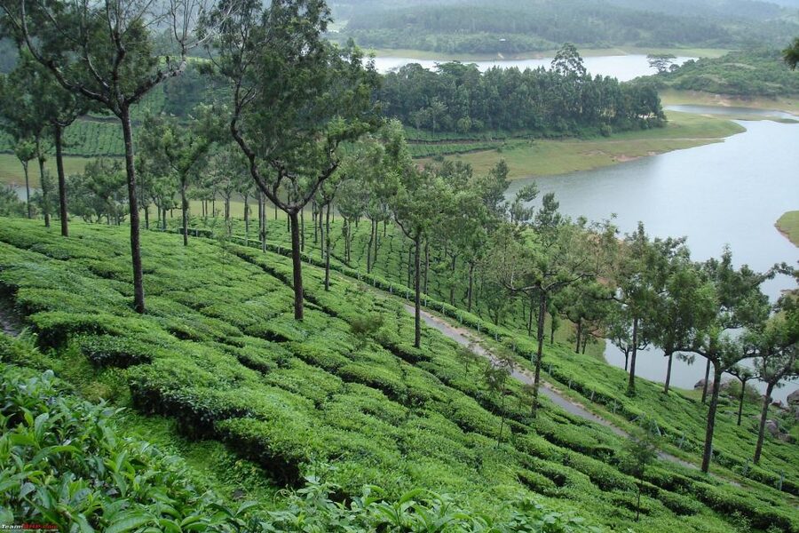 Munnar Private Day Trip - Price and value: what $115 per person gets you (and when it doesn’t)