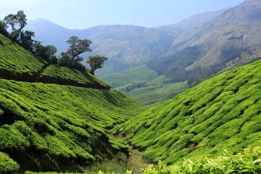 Munnar Private Day Trip - Cheeyappara and Valara waterfalls: the best kind of quick stop