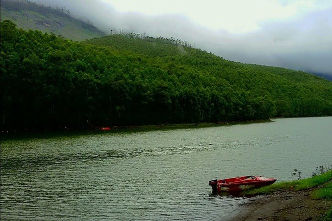 Munnar Site-seeing Tour - What You Get in 5 Hours (and Why That Matters)