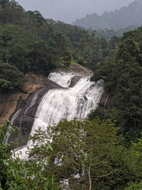 Munnar: Tea Garden and Elephant Safari Trip by 4x4 - Tea, Waterfalls, Spice, Elephants: What This 10-Hour Trip Really Is