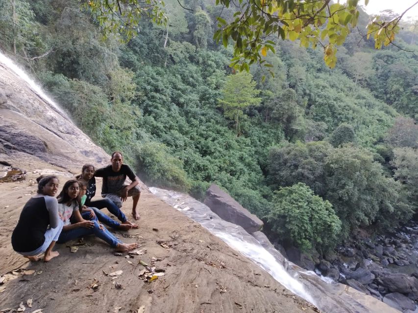 Munnar: Tea Garden and Elephant Safari Trip by 4x4 - Morning Pickup to Letchmi Estate: Tea Learning Starts Early
