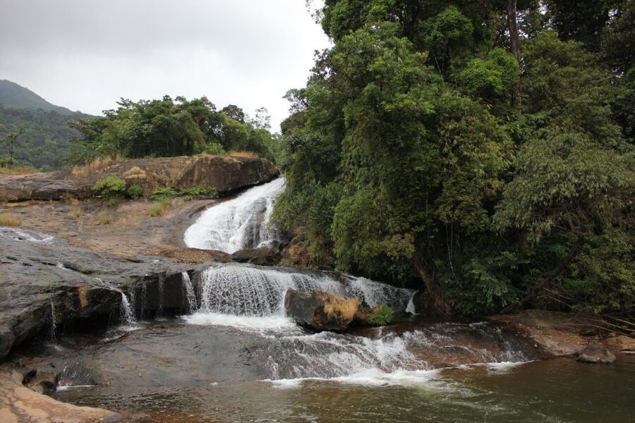 Munnar: Tea Garden and Elephant Safari Trip by 4x4 - Forest Viewpoints and the Cave Stop: Short Visits With Local Color