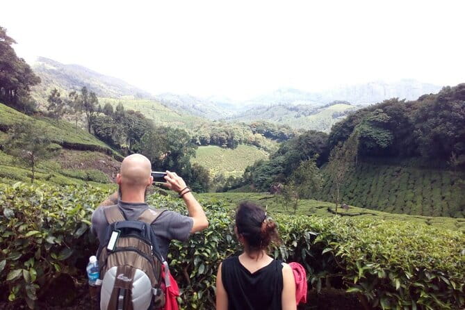 Munnar Tea Plantation Evening walking with Sunset View - Key things that make this Munnar sunset hike worth your time