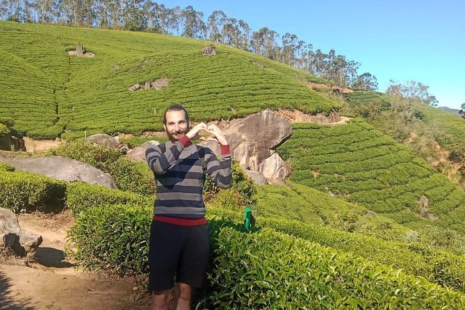 Munnar Tea Plantation Evening walking with Sunset View - Price and value: what $8 really includes