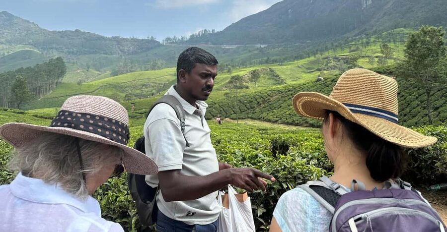 Munnar: Tea trail, Tea Factory, and Tea Tasting Tour - Logistics That Actually Matter: Meeting Point, No Mobile Connectivity, and Footing