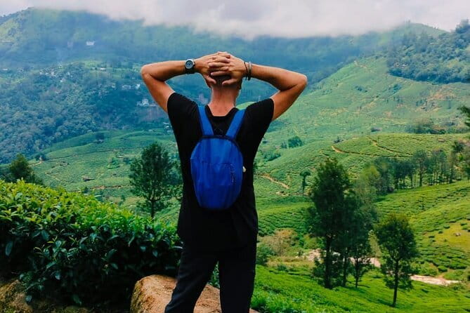 Munnar Tea Trail Tour , Tea factory visit & Tea Tasting - Why This Munnar Tea Trail Tour Makes Sense for $14