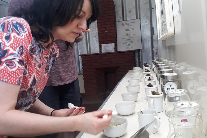 Munnar Tea Trail Tour with Factory Experience ( By Munnar Info) - Why Munnar’s tea trail feels more personal than big tours
