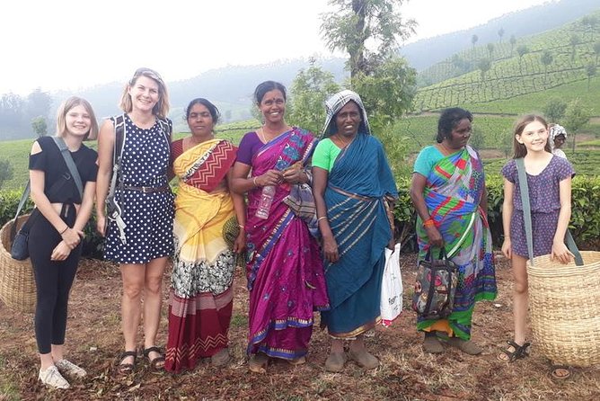 Munnar Tea Trail Tour with Factory Experience ( By Munnar Info) - Tea tasting: how to make the cups mean something