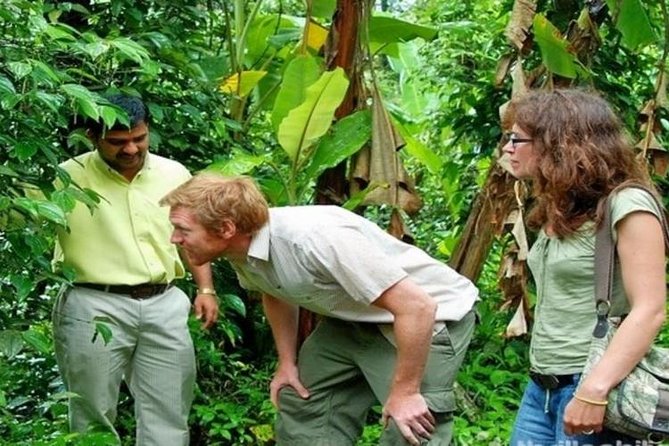 Munnar Tea valley Tour ( By Munnar Info) - Quick hits: what makes this tea valley tour work