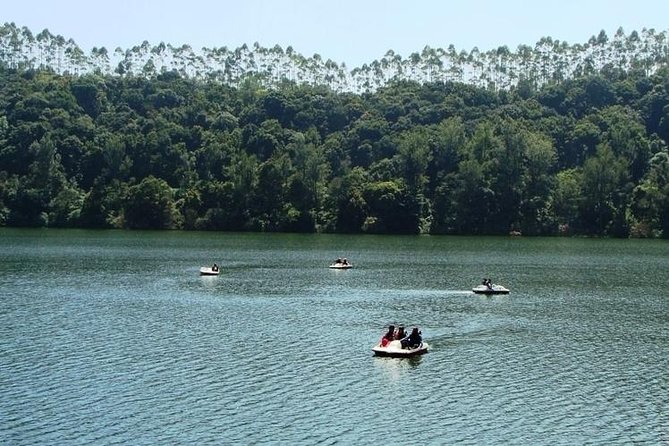 Munnar Tea valley Tour ( By Munnar Info) - Price and value: is $43 per group actually fair?