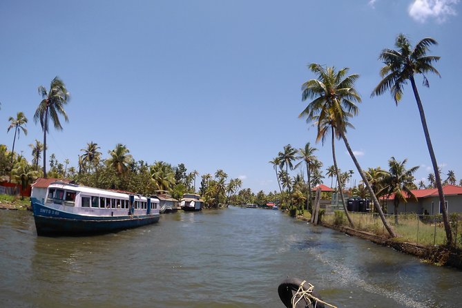 Private Alleppey Backwater Houseboat DayTour with Taxi from Kochi - Kochi Pickup to Alleppey Jetty: The Two-Hour Drive That Sets Your Rhythm