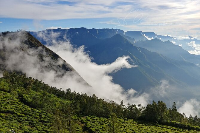 Private Day Trip to Munnar from Kochi (Cochin) - Mattupetty Dam: Quick Views That Set the Tone