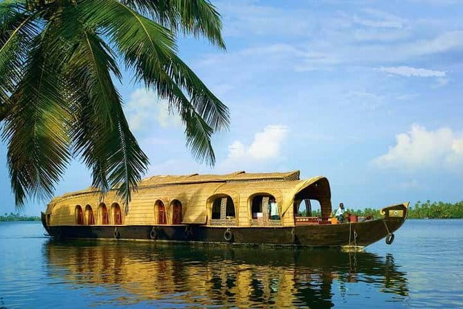 Private Houseboat Backwater Day Cruise tour with Lunch from Cochin - Key Highlights You’ll Care About
