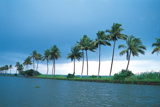 Private Houseboat Backwater Day Cruise tour with Lunch from Cochin - Why This Backwater Day Cruise Feels Worth Your Time
