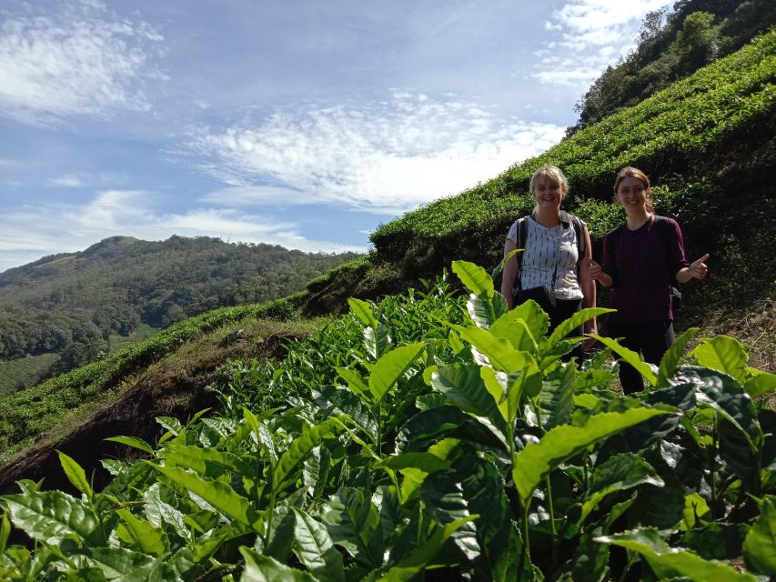 Private Munnar Tea Trek - Key things to know before you go