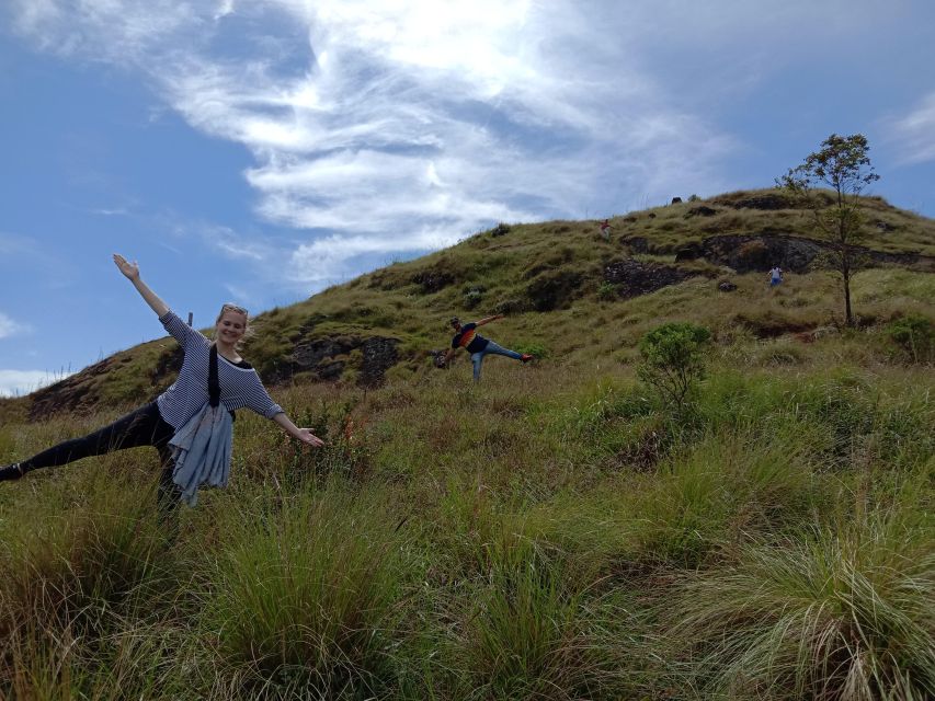 Private Munnar Tea Trek - The Munnar setting: tea fields you can actually walk through