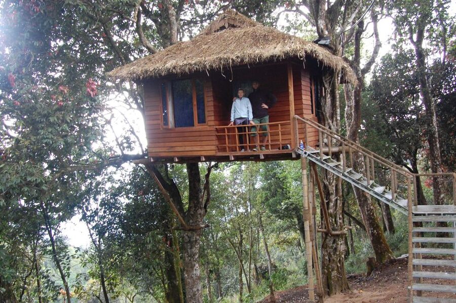 Private Munnar Tea Trek - Tea-focused guiding: how the day can feel like a tea maker’s routine
