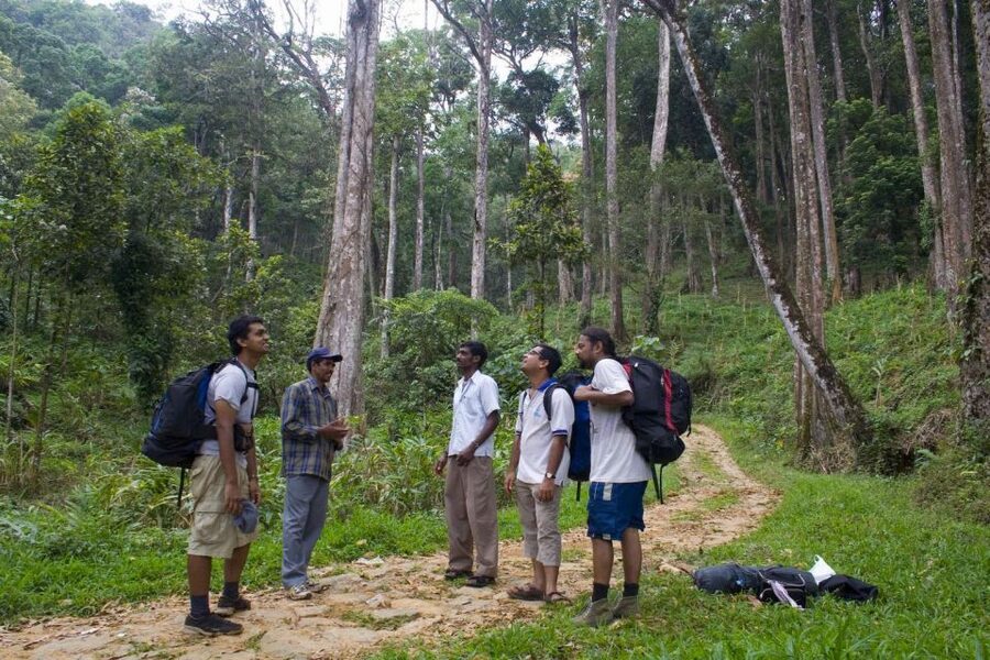 Private Munnar Tea Trek - What’s included in the $14 price, and where costs can pop up