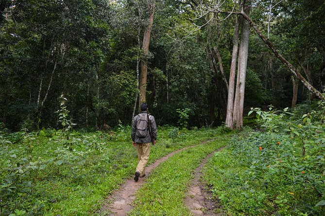 Scenic Kerala : Hills, Wildlife, Backwaters & Beach Bliss- 7 Days - Price and value: what $891.93 buys for up to two