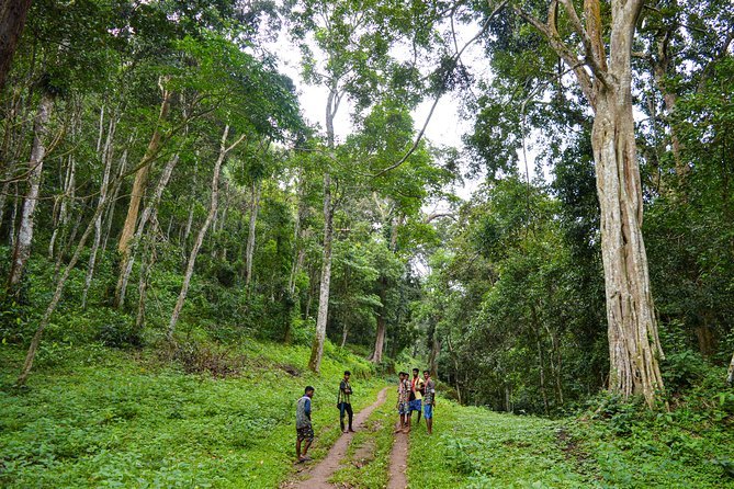 Scenic Kerala : Hills, Wildlife, Backwaters & Beach Bliss- 7 Days - Practical tips that make this week feel smoother