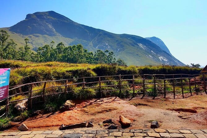 Serene Munnar Retreat: Private Tour from Kochi to the Munnar Hill - Kochi to Munnar in one day: the 7:00am start that makes sense