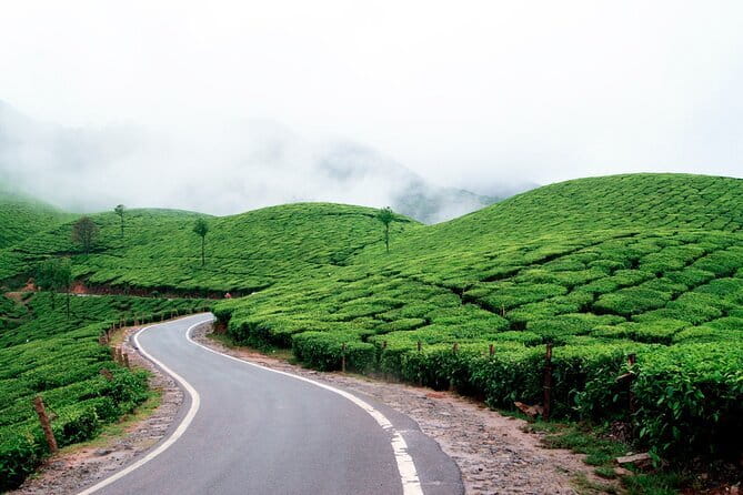 Serene Munnar Retreat: Private Tour from Kochi to the Munnar Hill - Eagle’s Flight zipline: the one extra cost you should plan for