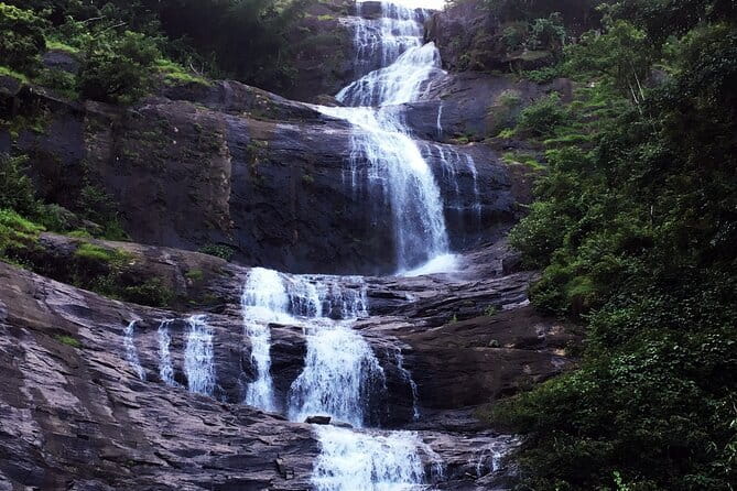 Serene Munnar Retreat: Private Tour from Kochi to the Munnar Hill - Value check: is $80 per person a good deal from Kochi?