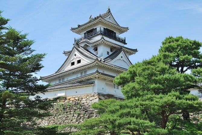 Shore Excursion Full Day Private Kochi Tour from Kochi port - Private Full-Day Kochi: what you really get for the money