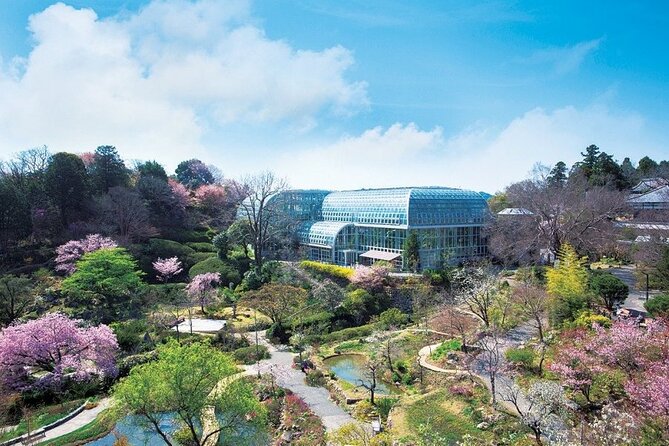 Shore Excursion Full Day Private Kochi Tour from Kochi port - Kochi Castle: an original keep plus real city views