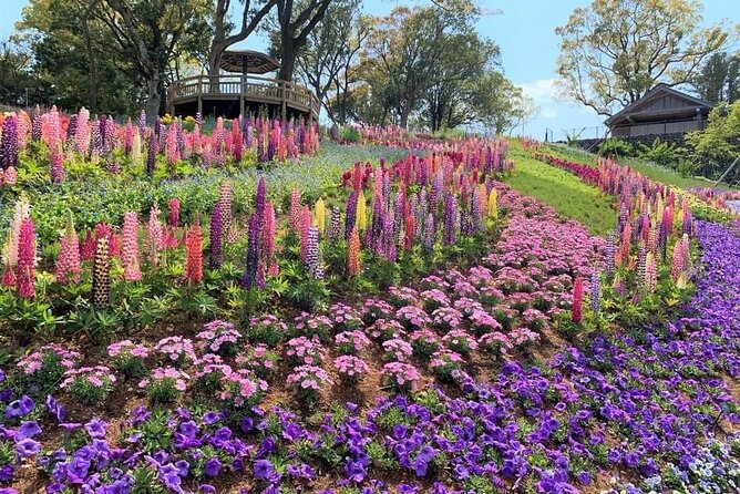 Shore Excursion Full Day Private Kochi Tour from Kochi port - Price and logistics: the transport cost you should plan for