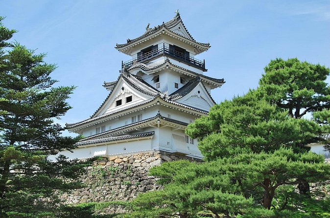 Shore Excursion Full Day Private Kochi Tour from Kochi port - Who this Kochi private tour suits best
