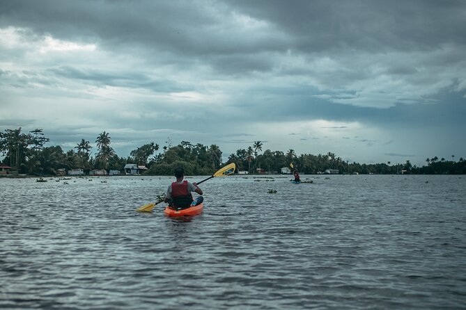 Sunrise Kayaking in Magical Alleppey Backwater Village - Your route: Alleppey backwaters, Punnamada Lake, and Kuttanad (and why each stop works)
