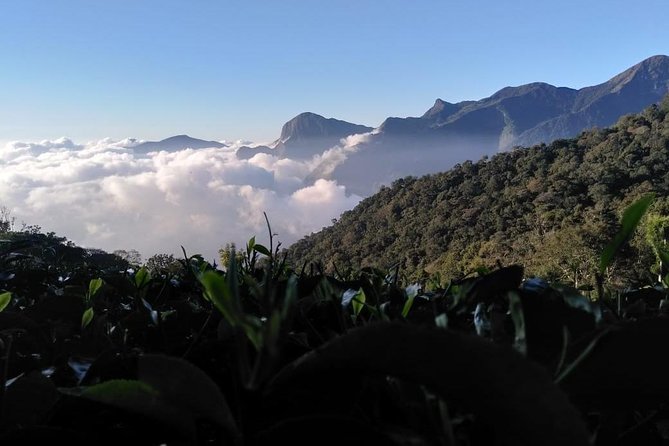 Sunrise Tour in Top Station, Munnar ( By Munnar Info) - Why a 4:30 am Top Station start changes everything