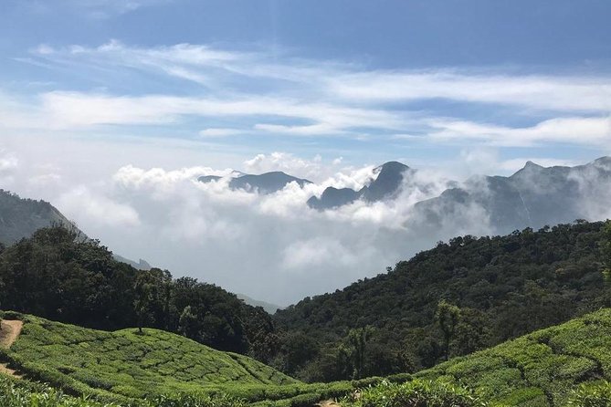 Sunrise Tour in Top Station, Munnar ( By Munnar Info) - Stops 6–8: Ellaipatti view, Photo Point tea views, and Tea Gardens