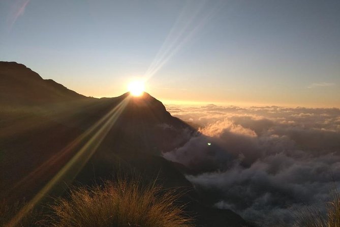 Sunrise Tour in Top Station, Munnar ( By Munnar Info) - The route at a glance: short scenic stops, smooth pacing