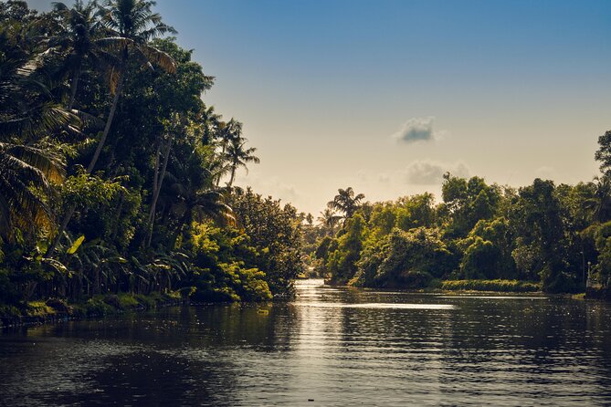 Sunset Cruise with Village Life and Local Food - Meeting Point in Kumarakom and the Ease of Pickup