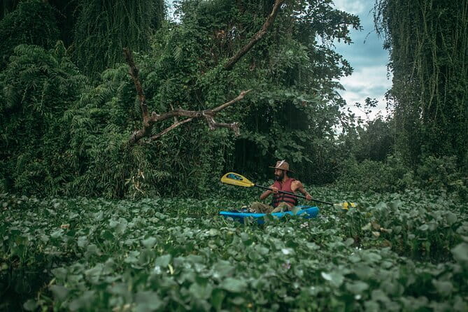 Sunset Kayaking in Hidden Alleppey Backwater Routes - Sunset Kayaking in Alleppey: what makes this route feel special