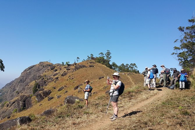 Trekking in Munnar - Key highlights to know before you go