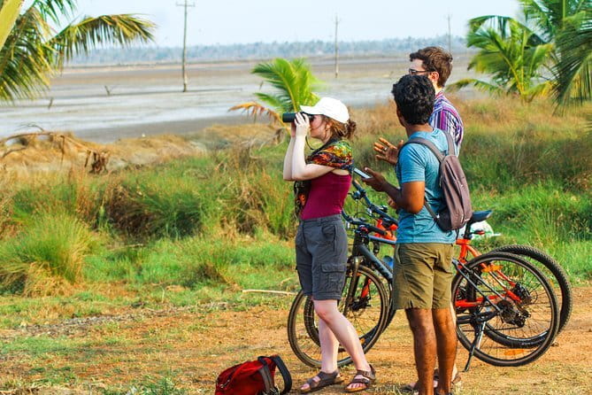 Village Bike Tour & Birdwatching - The ride to Pallithode Wetland: quiet backwaters and bird time