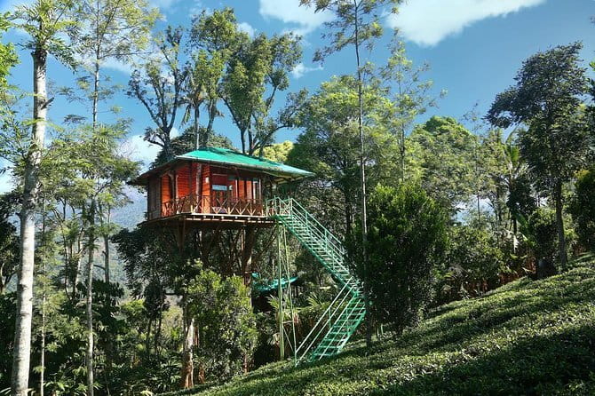 Village Walking Tour and Bird Watching - Bird Watching With Renju: English-Friendly, Methodical, and Fun