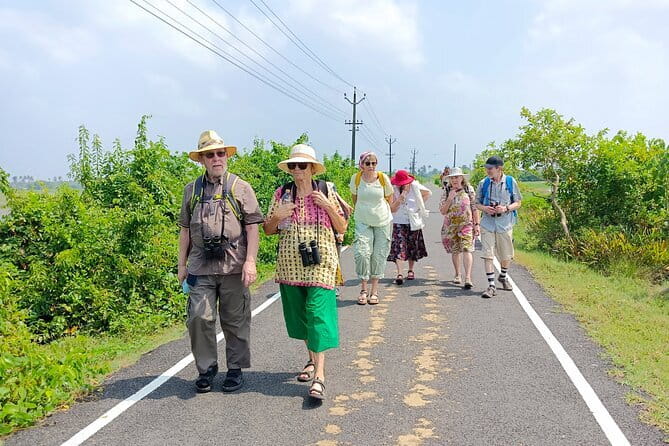 Village Walking Tour and Bird Watching - Chellanam Village Roads: Birds, Plants, and Everyday Life