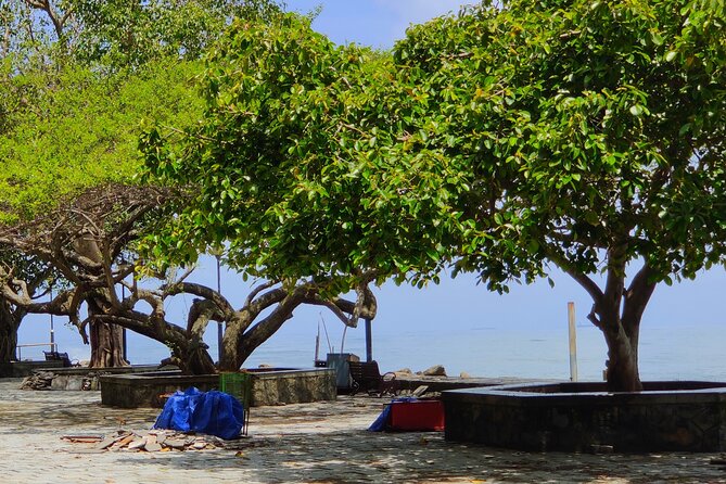 Walking Tour Of Fortkochi & Local Lunch - Group Size, Privacy, and Who This Walk Suits