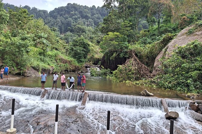 Wild Elephant Anakulam & Waterfalls Tour(munnar valley Trekking) - Timing and logistics: when your day feels smooth vs rushed