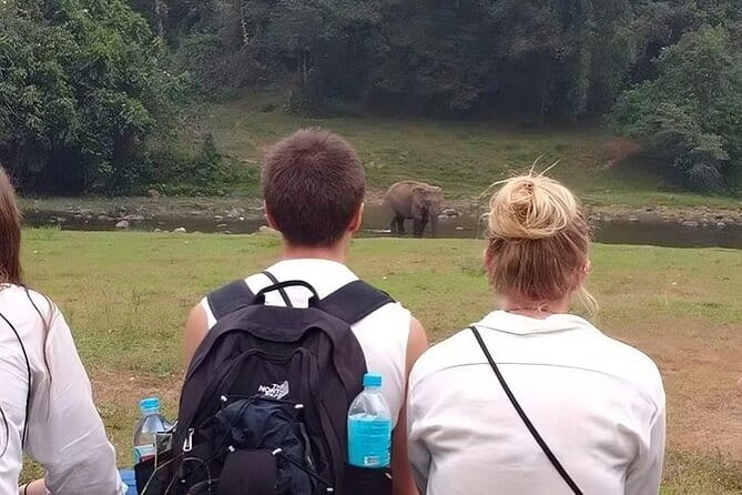 Wild Life Anakulam Jeep Safari - Why the Anakulam Jeep Safari feels worth your time
