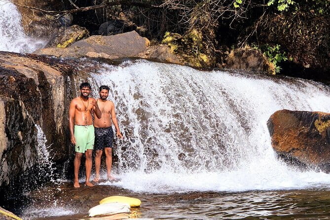 Wild Life Anakulam Jeep Safari - Stop 6: Anakulam Elephant View Point (1 hour, ticket included)